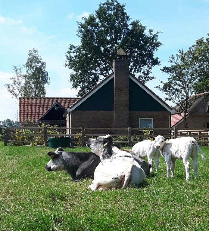 Het Kleine Landgoed Vila Haarle Exterior foto